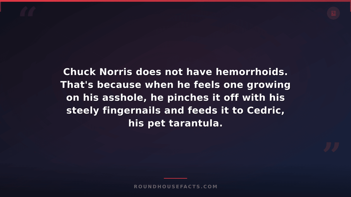 Chuck Norris Fact — Chuck Norris does not have hemorrhoids. That's because when