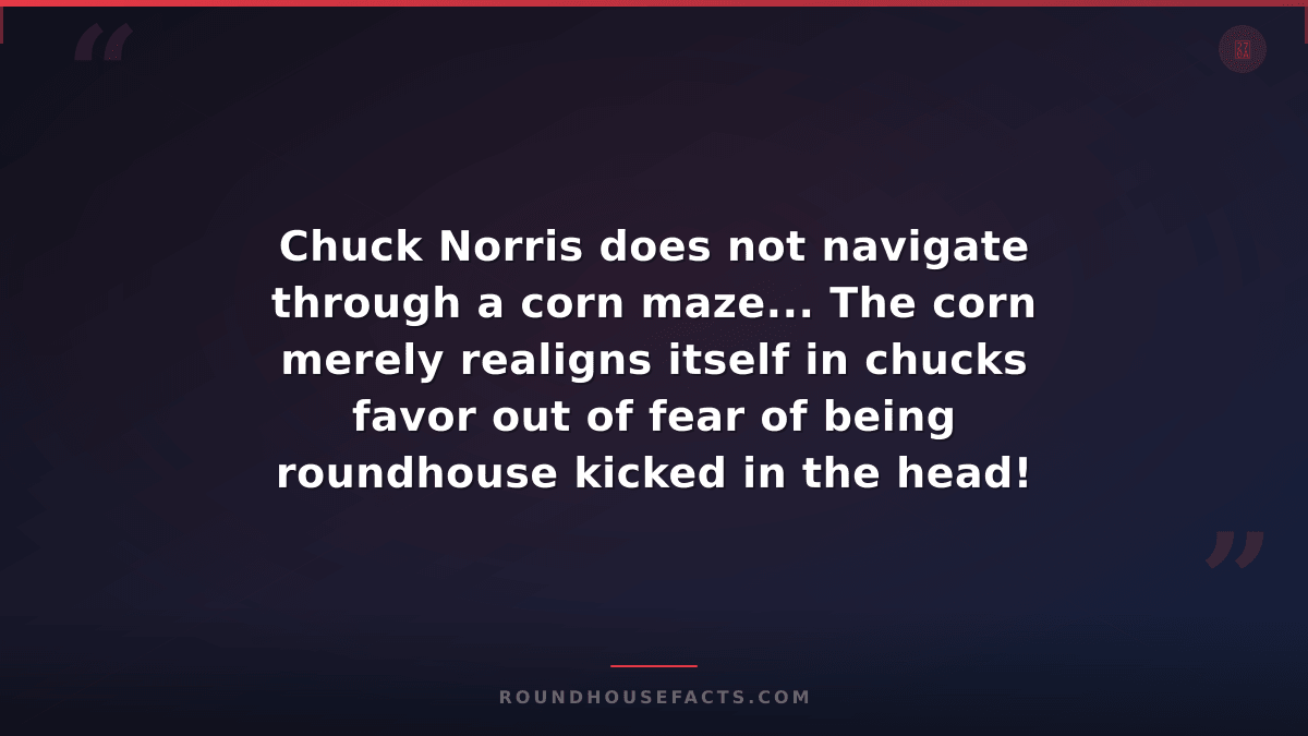 Chuck Norris Fact — Chuck Norris does not navigate through a corn maze... The co