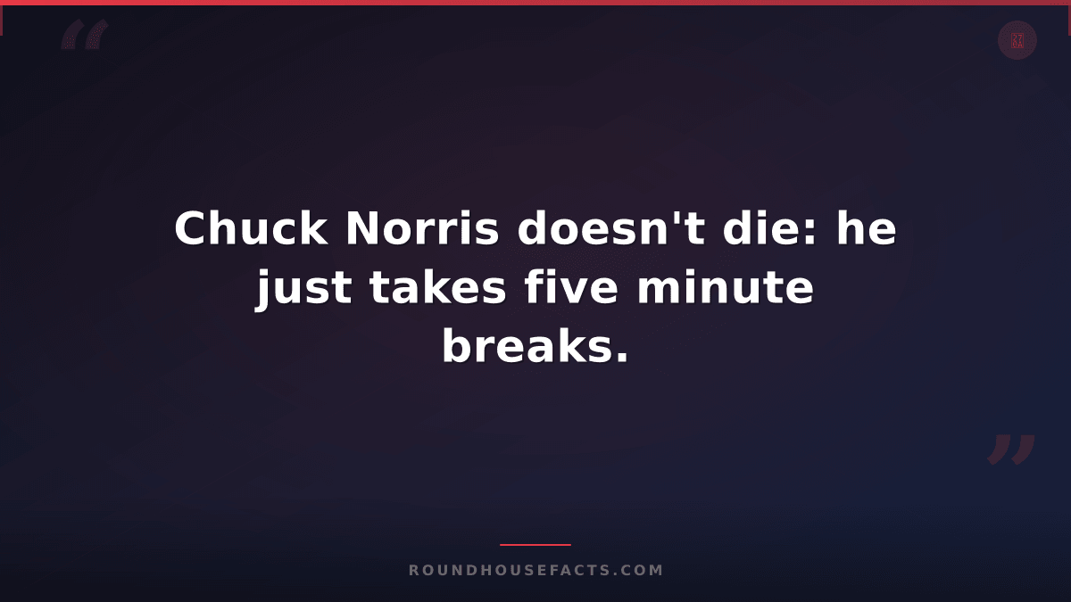 Chuck Norris Fact — Chuck Norris doesn't die: he just takes five minute breaks.