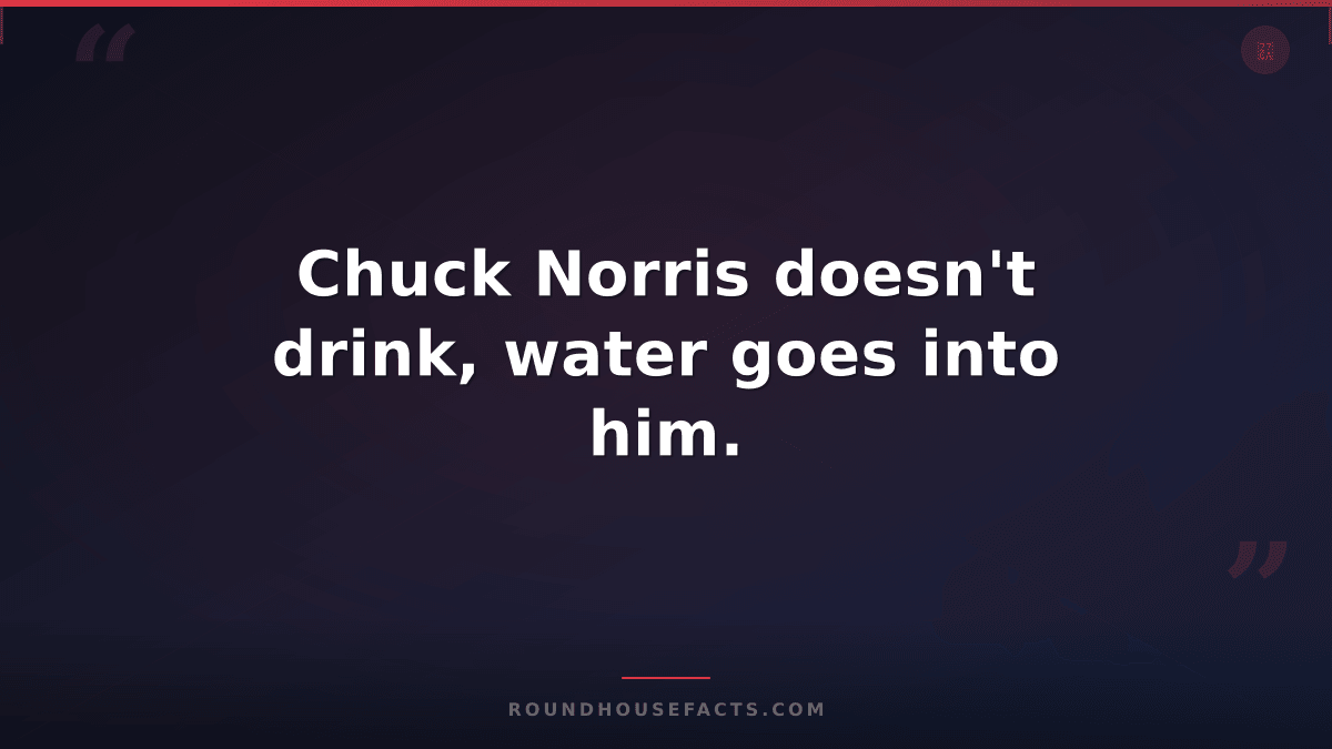 Chuck Norris Fact — Chuck Norris doesn't drink, water goes into him.