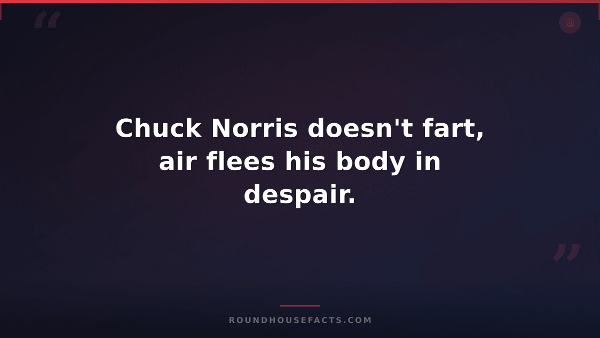 Chuck Norris Fact — Chuck Norris doesn't fart, air flees his body in despair.