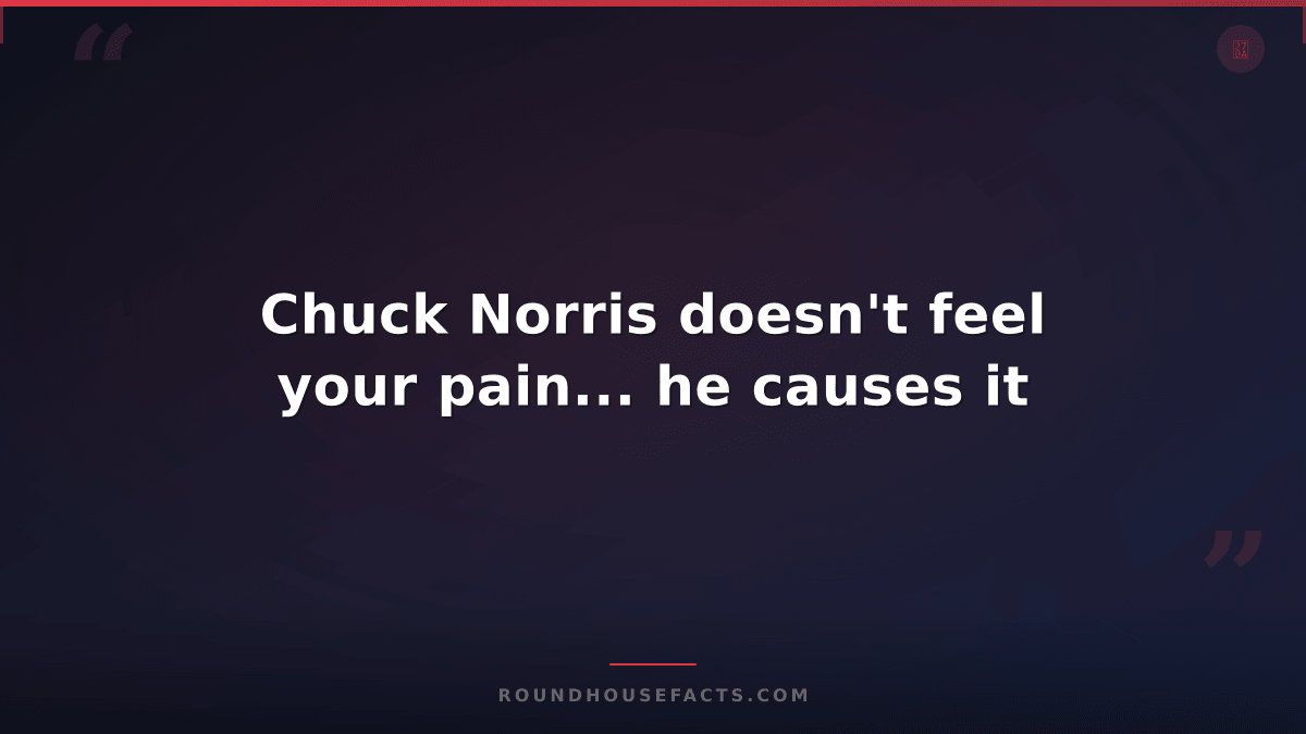 Chuck Norris Fact — Chuck Norris doesn't feel your pain... he causes it