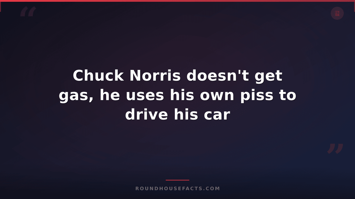 Chuck Norris Fact — Chuck Norris doesn't get gas, he uses his own piss to drive