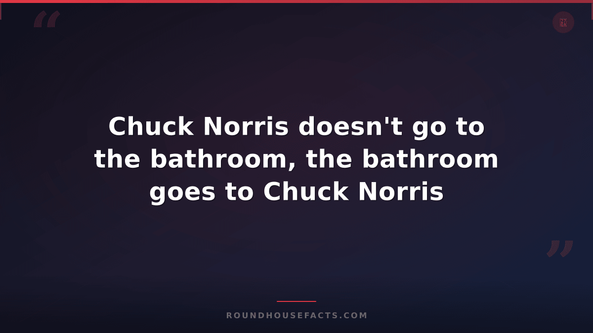 Chuck Norris Fact — Chuck Norris doesn't go to the bathroom, the bathroom goes t