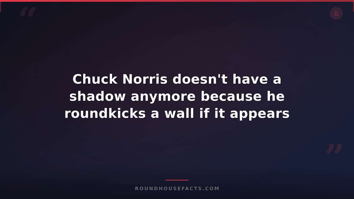 Chuck Norris Fact — Chuck Norris doesn't have a shadow anymore because he roundk