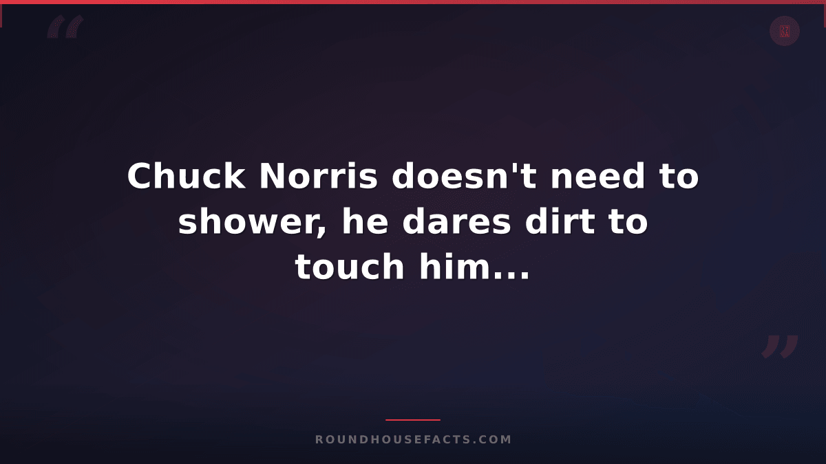 Chuck Norris Fact — Chuck Norris doesn't need to shower, he dares dirt to touch
