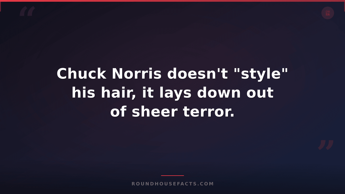 Chuck Norris Fact — Chuck Norris doesn't "style" his hair, it lays down out of s