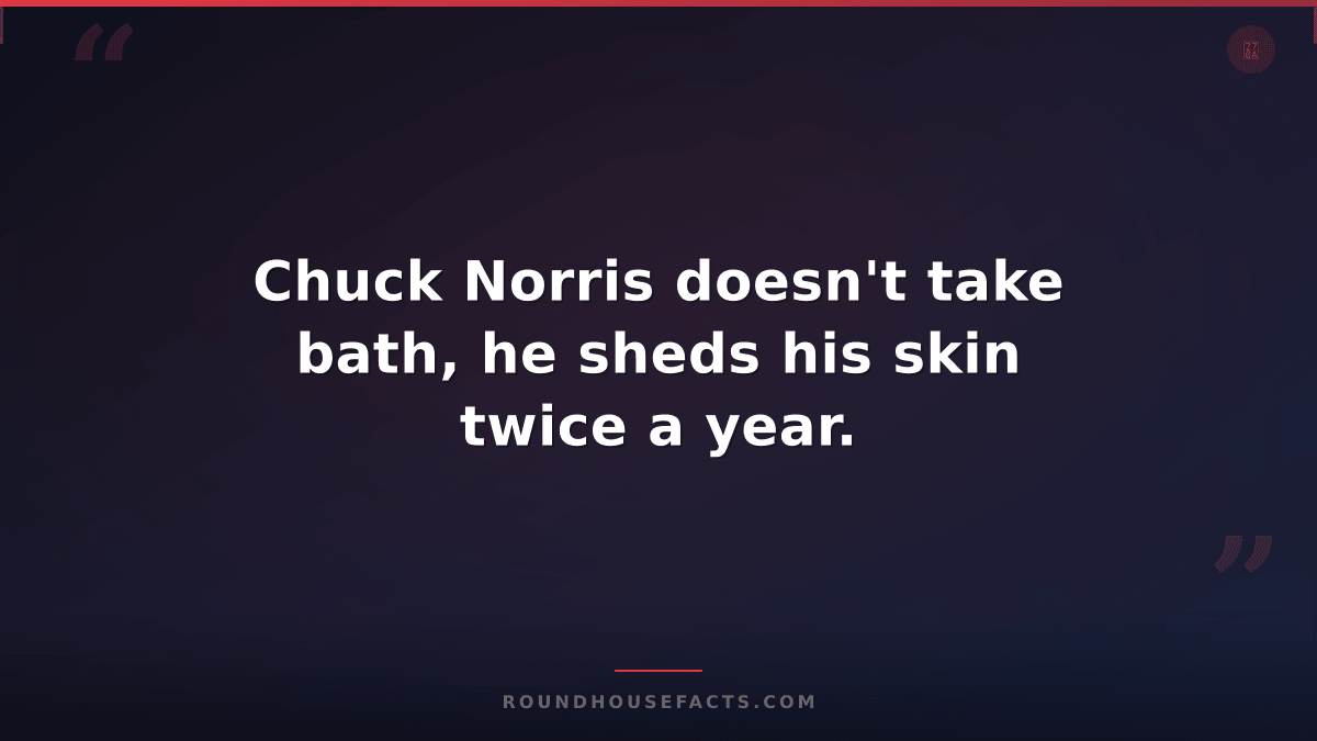 Chuck Norris Fact — Chuck Norris doesn't take bath, he sheds his skin twice a ye