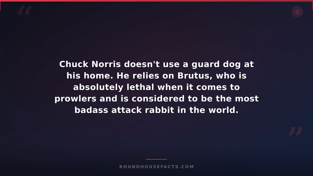 Chuck Norris Fact — Chuck Norris doesn't use a guard dog at his home. He relies