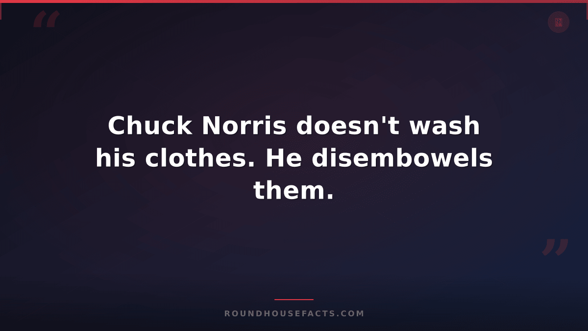 Chuck Norris Fact — Chuck Norris doesn't wash his clothes. He disembowels them.