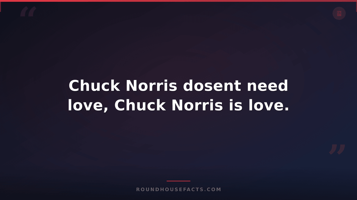 Chuck Norris Fact — Chuck Norris dosent need love, Chuck Norris is love.