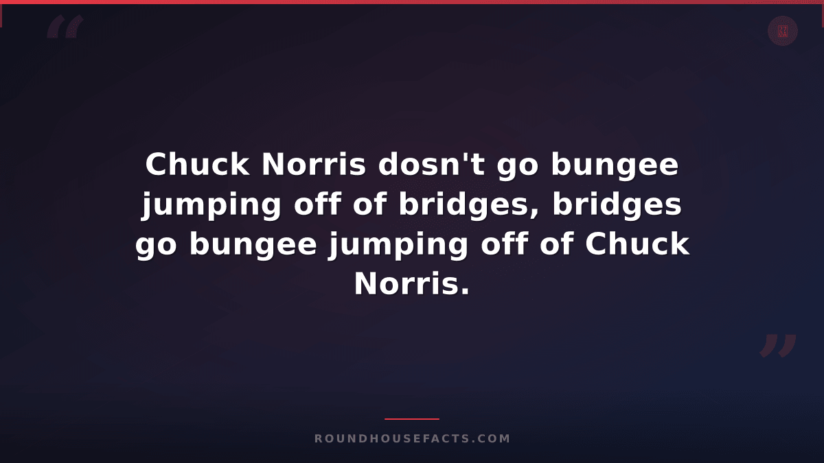 Chuck Norris Fact — Chuck Norris dosn't go bungee jumping off of bridges, bridge