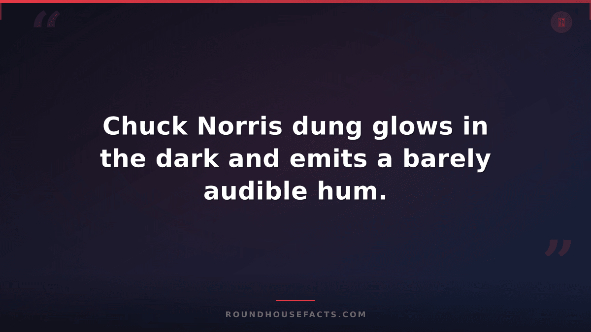 Chuck Norris Fact — Chuck Norris dung glows in the dark and emits a barely audib