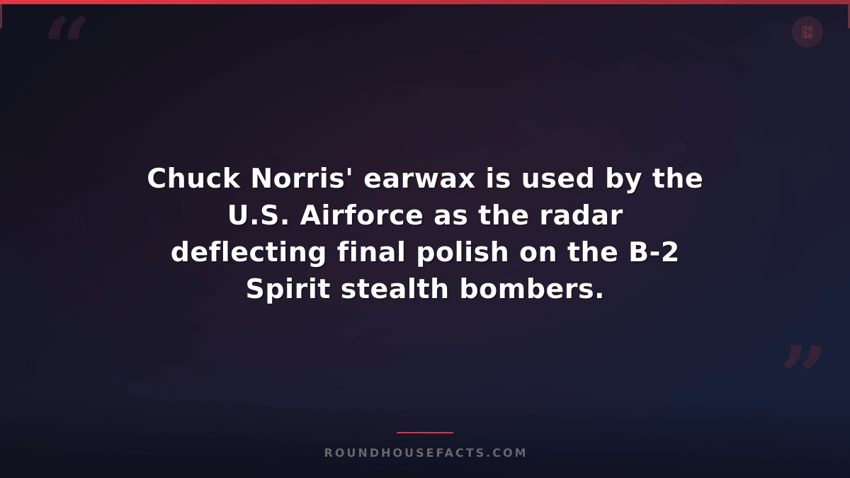 Chuck Norris Fact — Chuck Norris' earwax is used by the U.S. Airforce as the rad