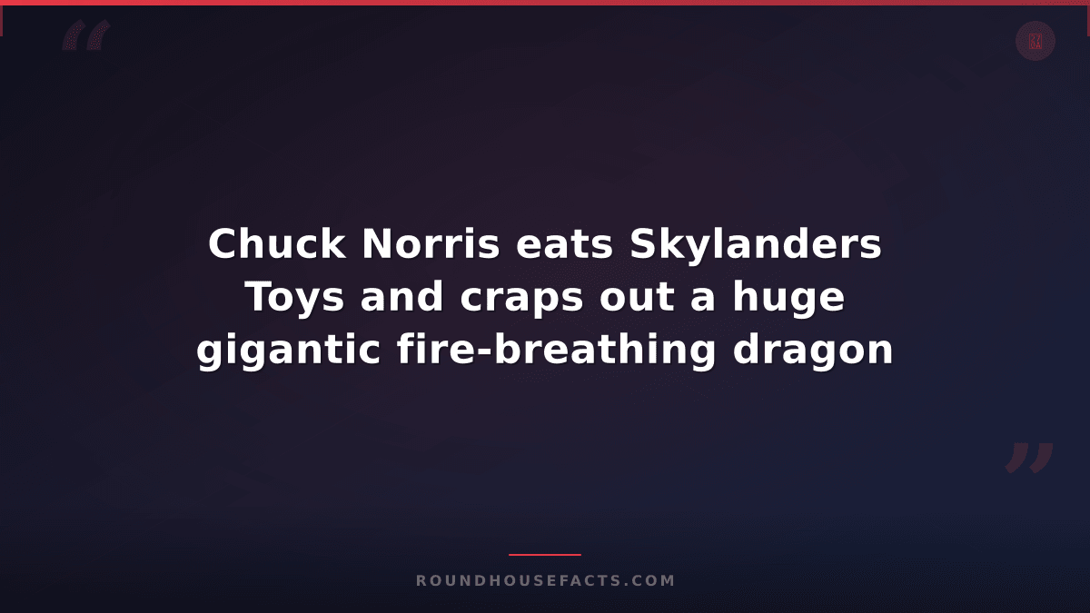 Chuck Norris Fact — Chuck Norris eats Skylanders Toys and craps out a huge gigan