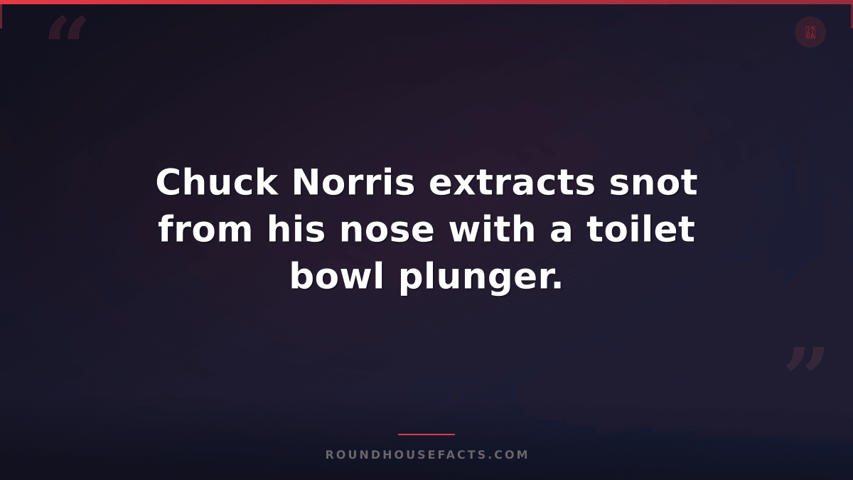 Chuck Norris Fact — Chuck Norris extracts snot from his nose with a toilet bowl