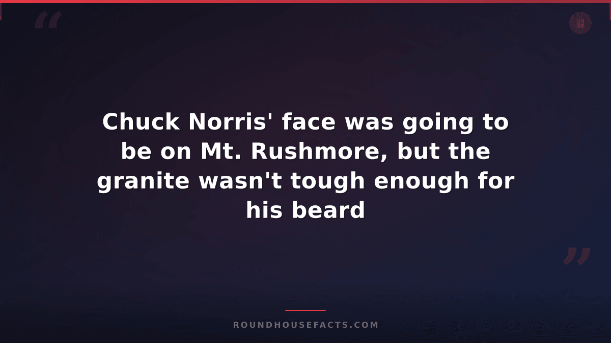 Chuck Norris Fact — Chuck Norris' face was going to be on Mt. Rushmore, but the