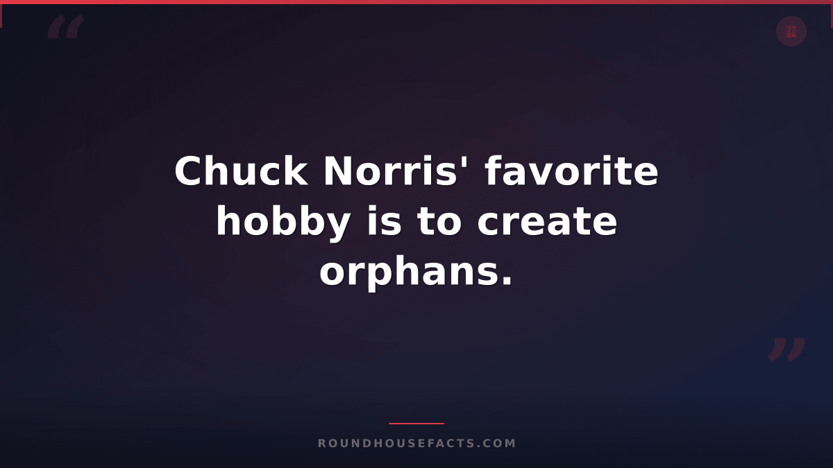 Chuck Norris Fact — Chuck Norris' favorite hobby is to create orphans.