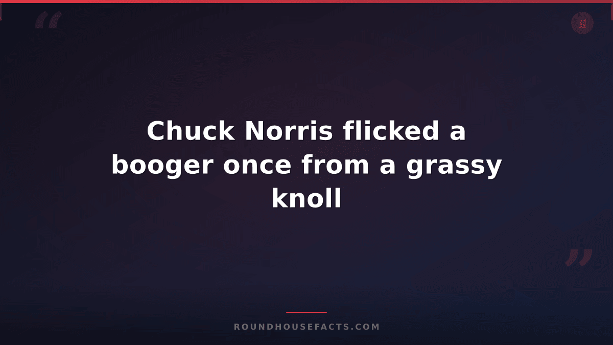 Chuck Norris Fact — Chuck Norris flicked a booger once from a grassy knoll