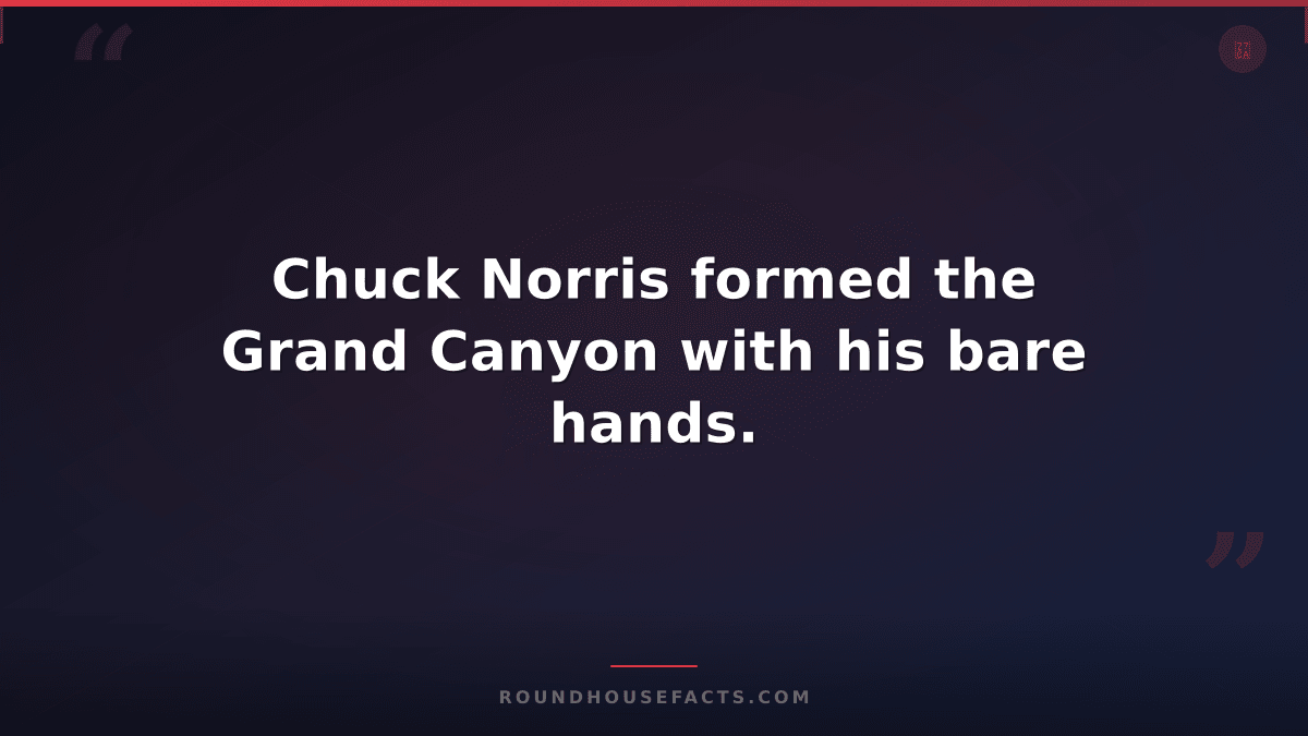 Chuck Norris Fact — Chuck Norris formed the Grand Canyon with his bare hands.
