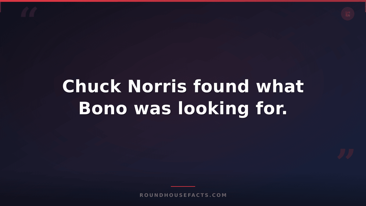 Chuck Norris Fact — Chuck Norris found what Bono was looking for.