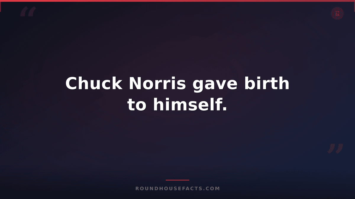 Chuck Norris Fact — Chuck Norris gave birth to himself.