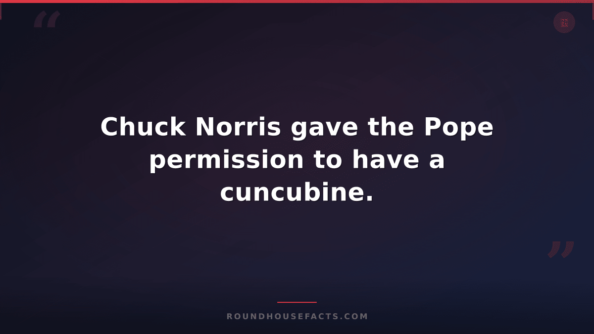 Chuck Norris Fact — Chuck Norris gave the Pope permission to have a cuncubine.