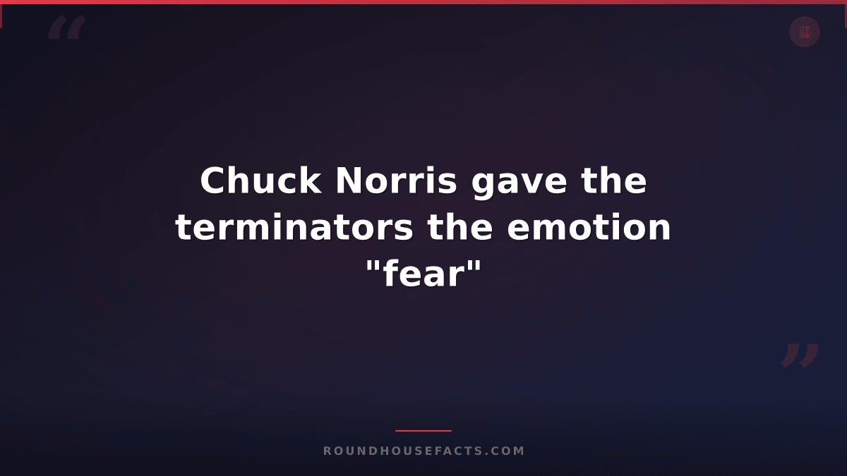 Chuck Norris Fact — Chuck Norris gave the terminators the emotion "fear"