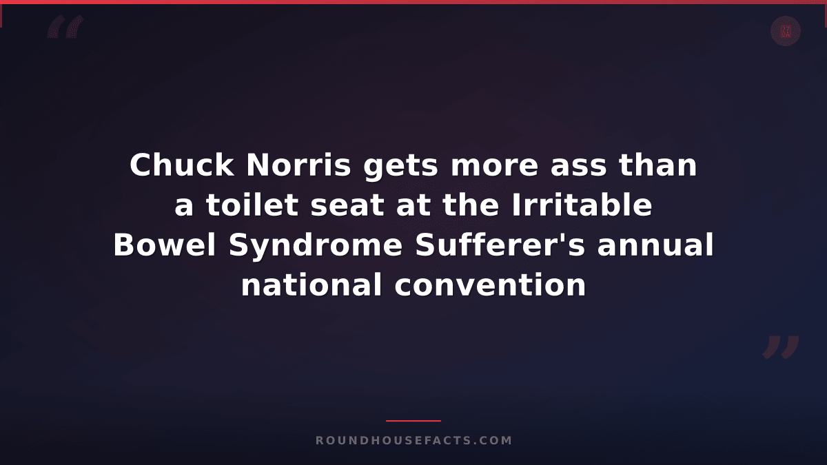 Chuck Norris Fact — Chuck Norris gets more ass than a toilet seat at the Irritab