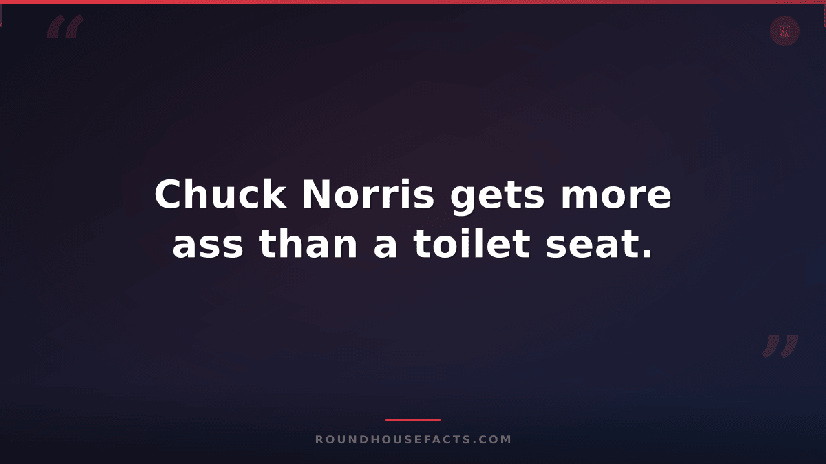 Chuck Norris Fact — Chuck Norris gets more ass than a toilet seat.