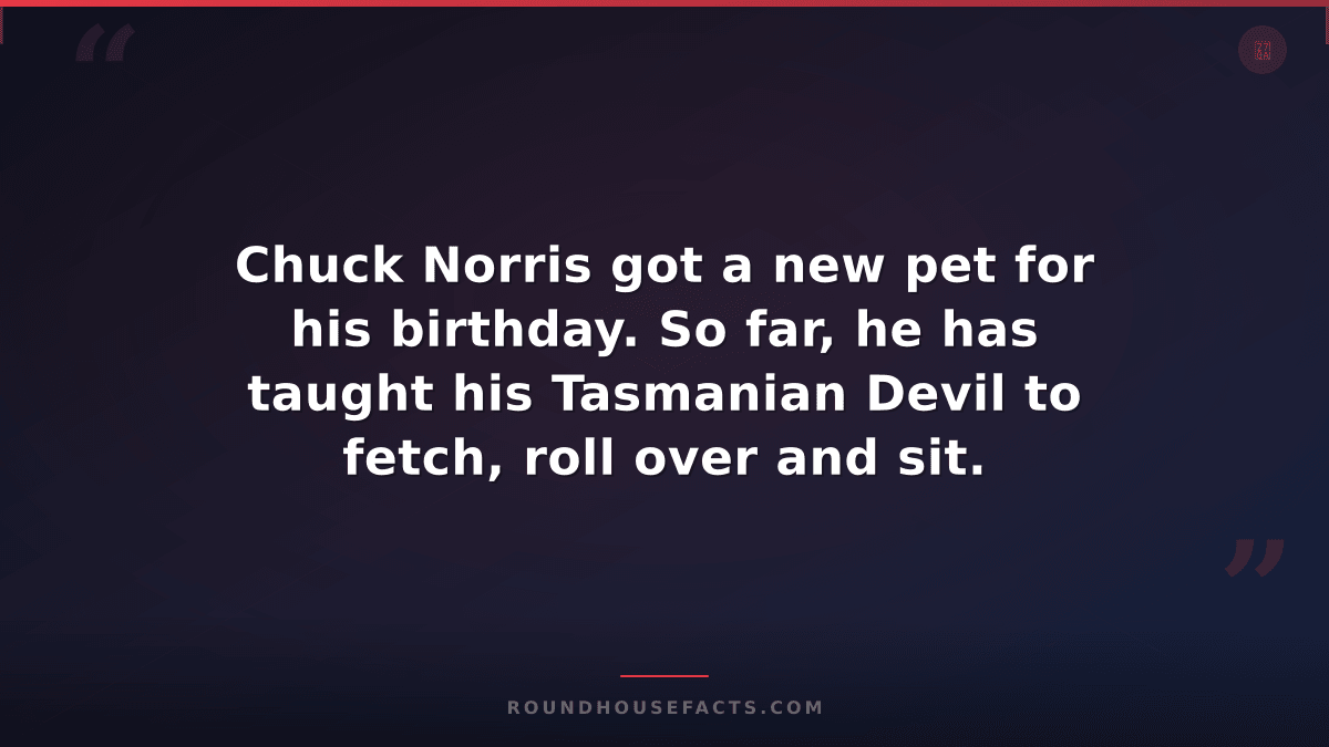 Chuck Norris Fact — Chuck Norris got a new pet for his birthday. So far, he has