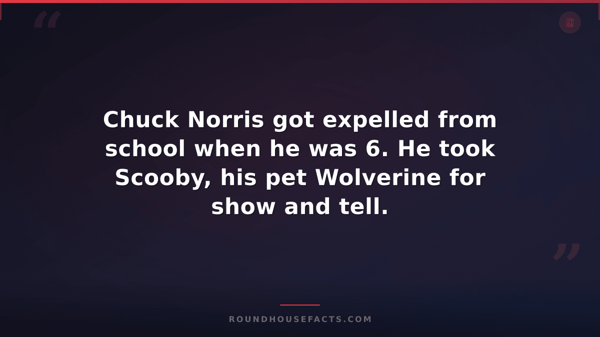 Chuck Norris Fact — Chuck Norris got expelled from school when he was 6. He took