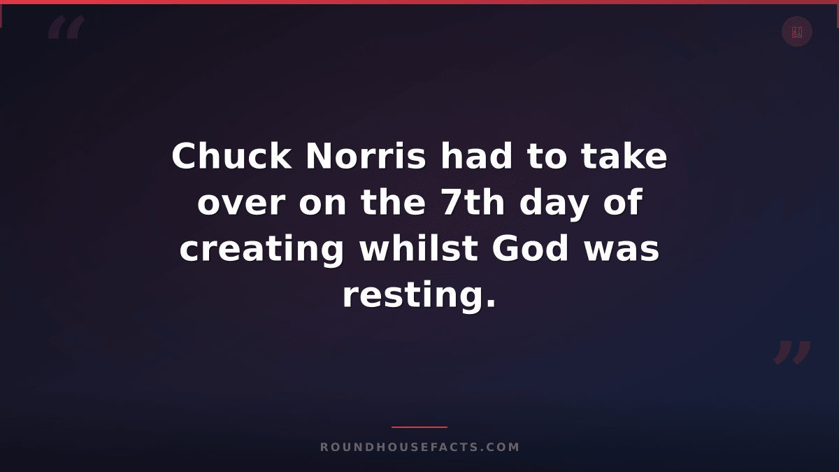 Chuck Norris Fact — Chuck Norris had to take over on the 7th day of creating whi