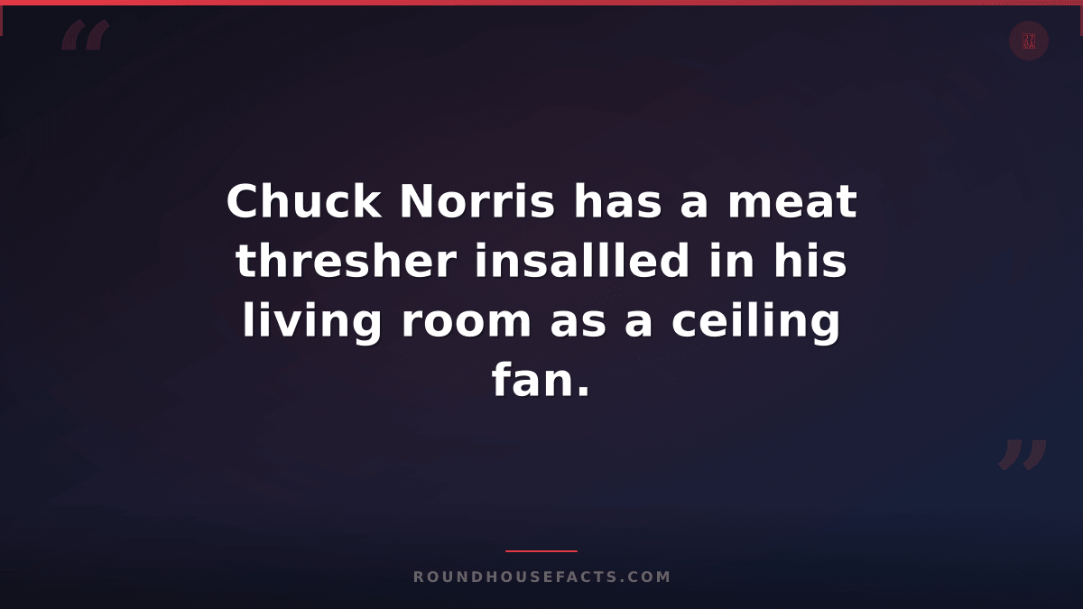 Chuck Norris Fact — Chuck Norris has a meat thresher insallled in his living roo
