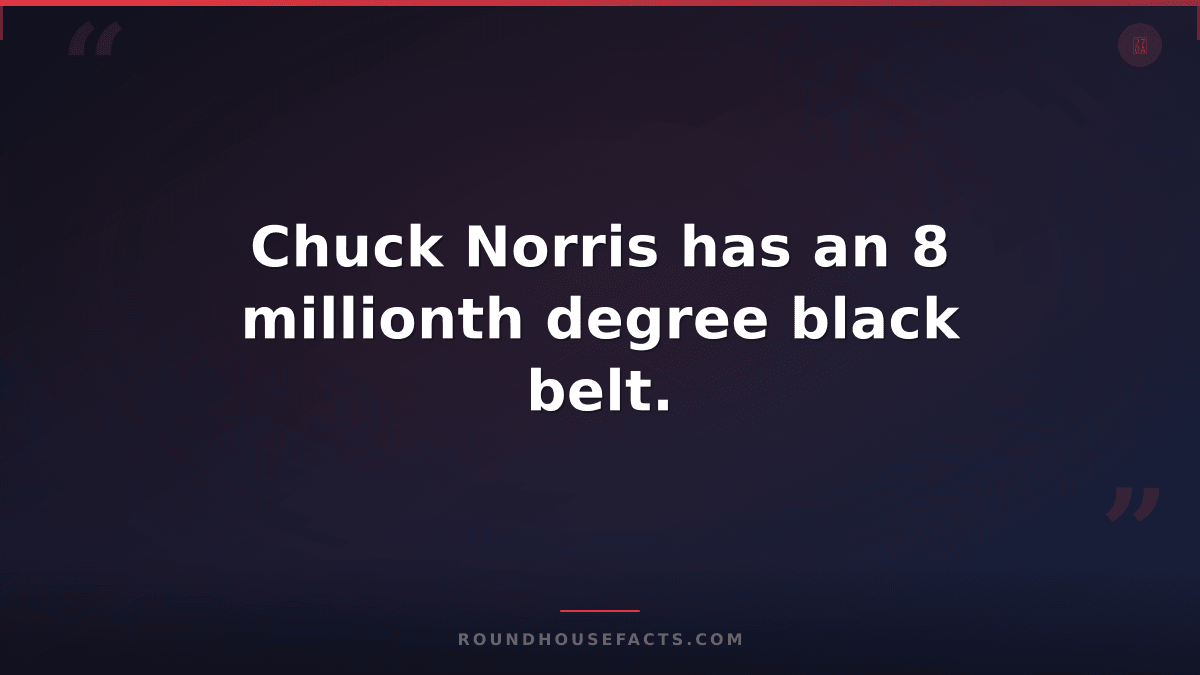 Chuck Norris Fact — Chuck Norris has an 8 millionth degree black belt.