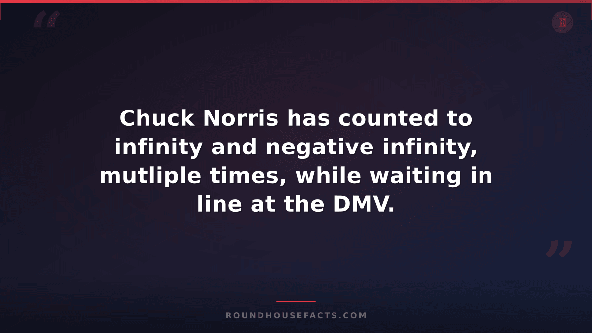 Chuck Norris Fact — Chuck Norris has counted to infinity and negative infinity,