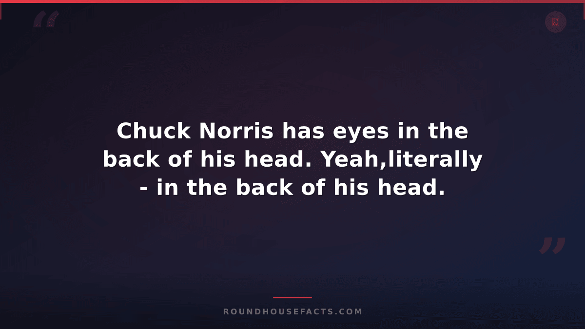 Chuck Norris Fact — Chuck Norris has eyes in the back of his head. Yeah,literall