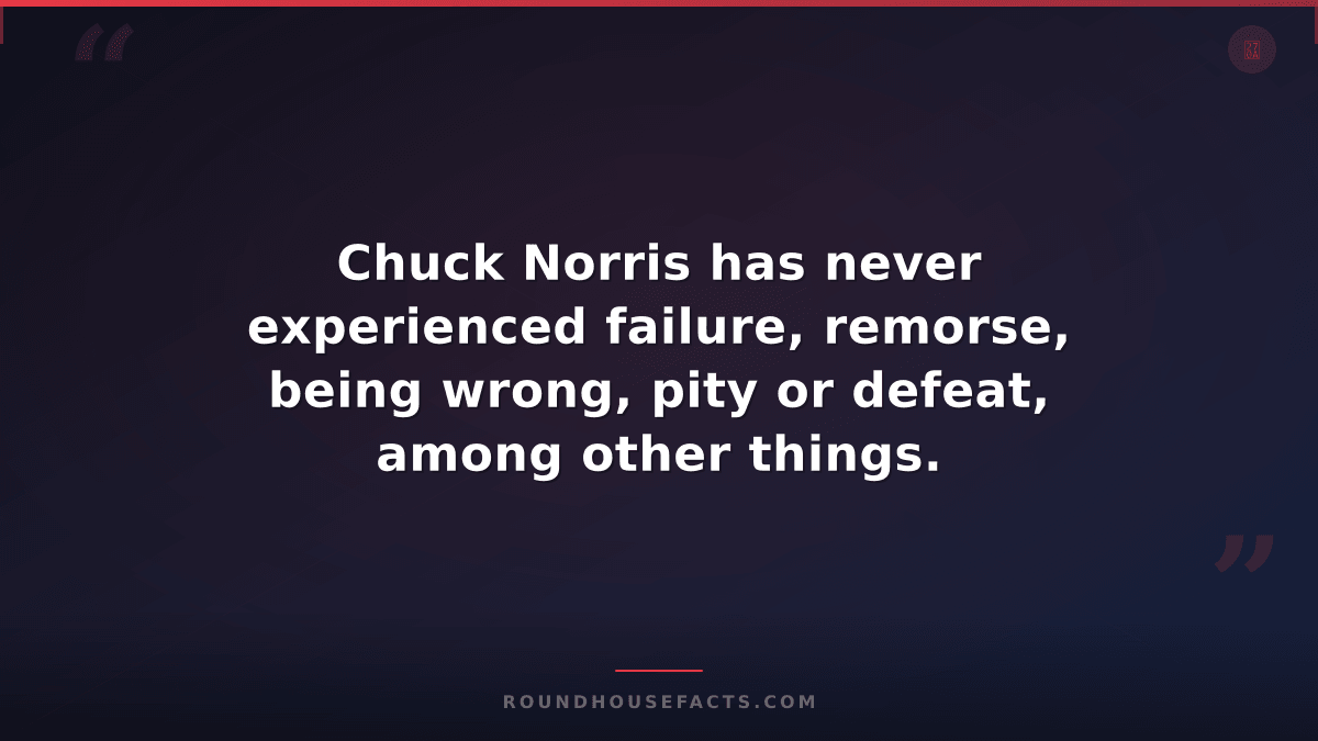 Chuck Norris Fact — Chuck Norris has never experienced failure, remorse, being w