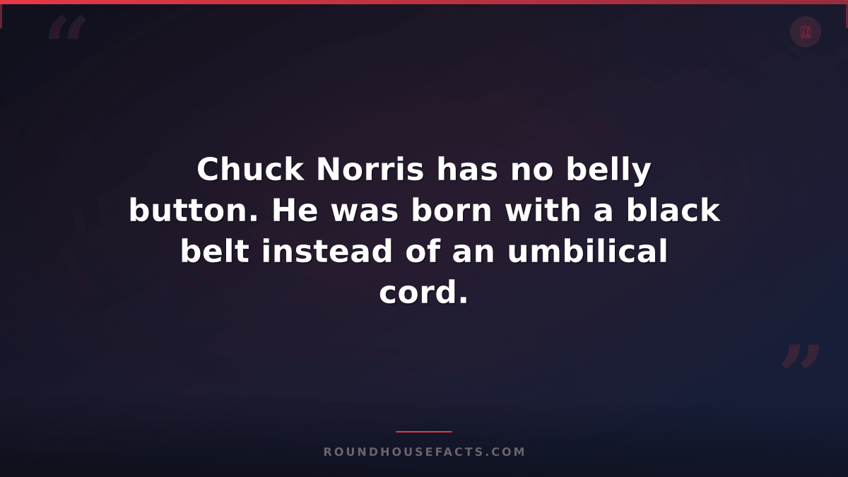 Chuck Norris Fact — Chuck Norris has no belly button. He was born with a black b