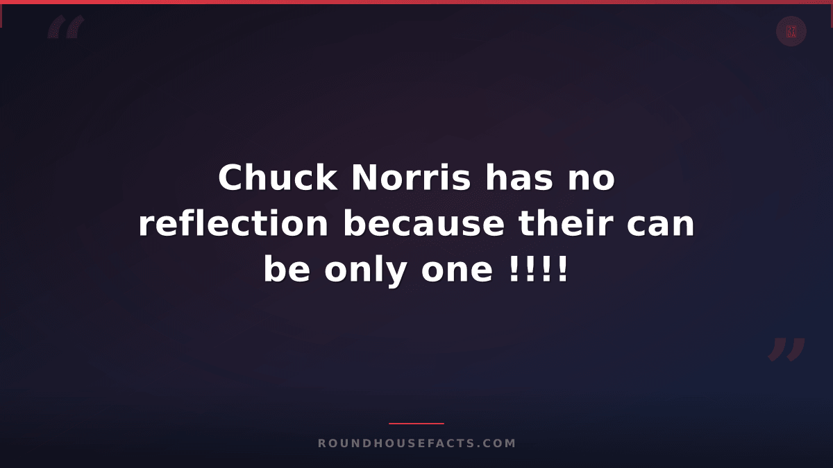 Chuck Norris Fact — Chuck Norris has no reflection because their can be only one