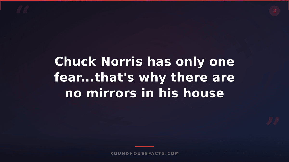 Chuck Norris Fact — Chuck Norris has only one fear...that's why there are no mir