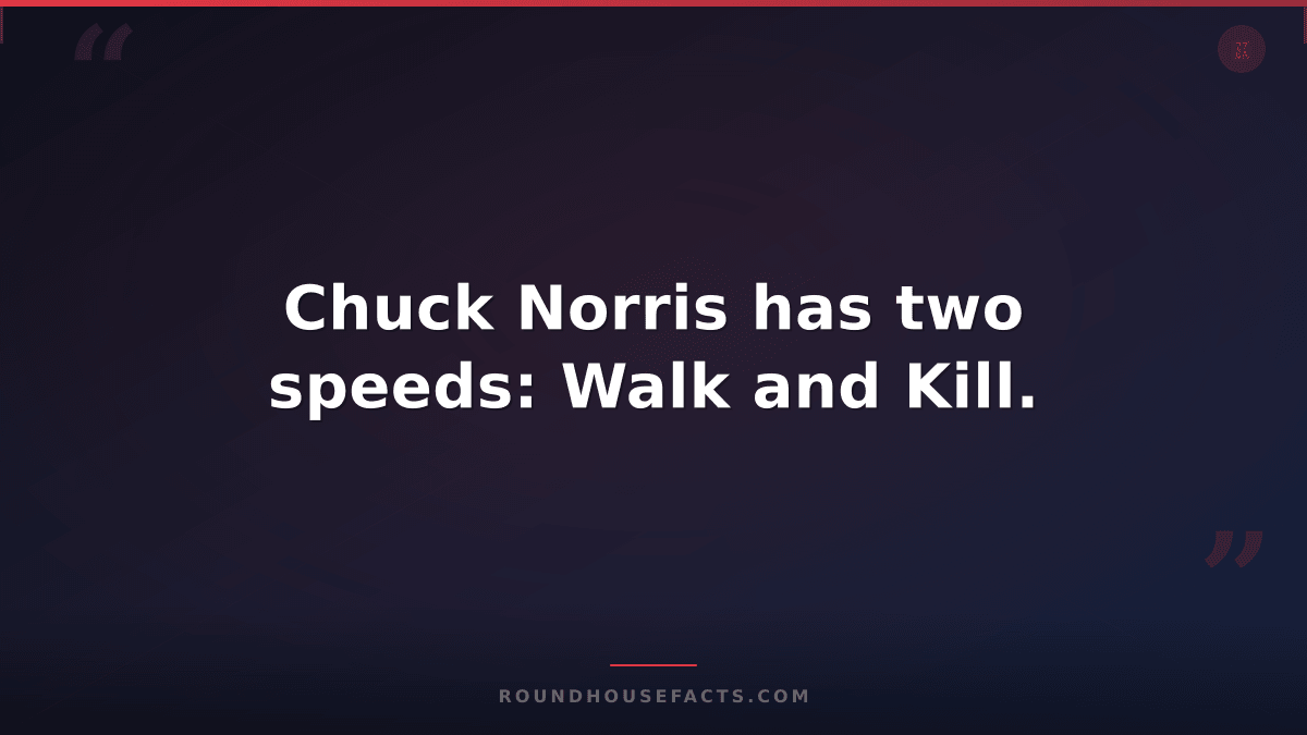 Chuck Norris Fact — Chuck Norris has two speeds: Walk and Kill.