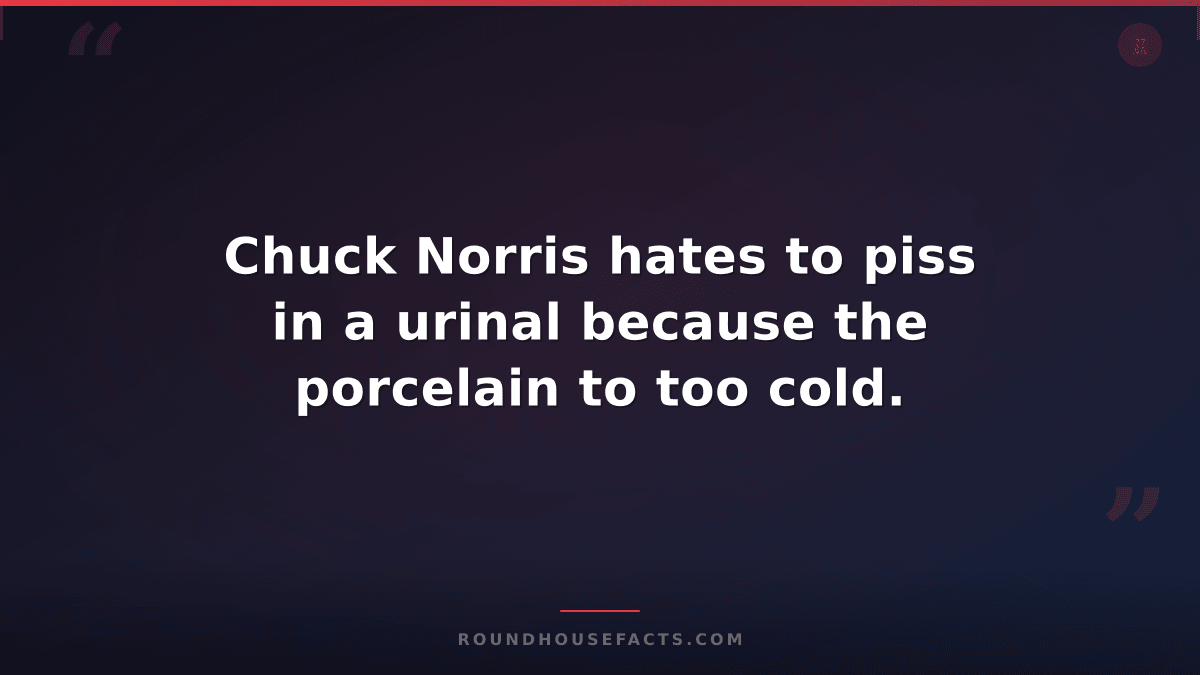 Chuck Norris Fact — Chuck Norris hates to piss in a urinal because the porcelain