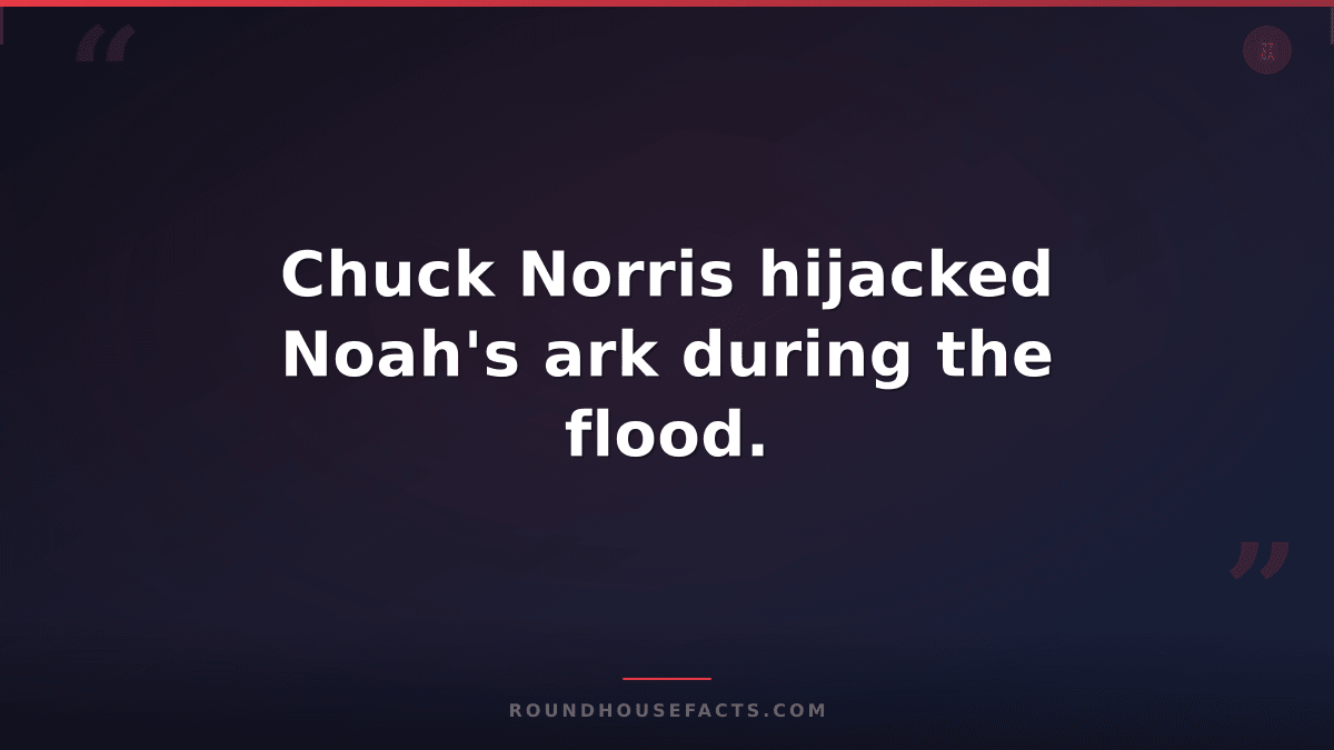 Chuck Norris Fact — Chuck Norris hijacked Noah's ark during the flood.