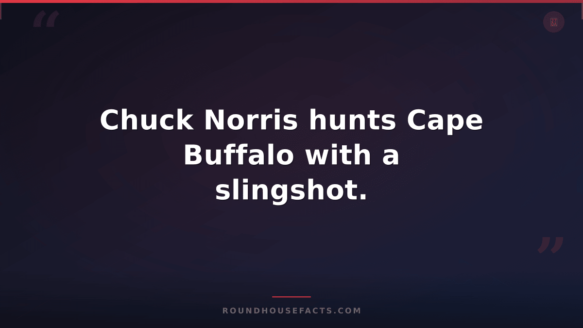 Chuck Norris Fact — Chuck Norris hunts Cape Buffalo with a slingshot.