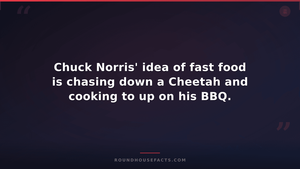Chuck Norris Fact — Chuck Norris' idea of fast food is chasing down a Cheetah an