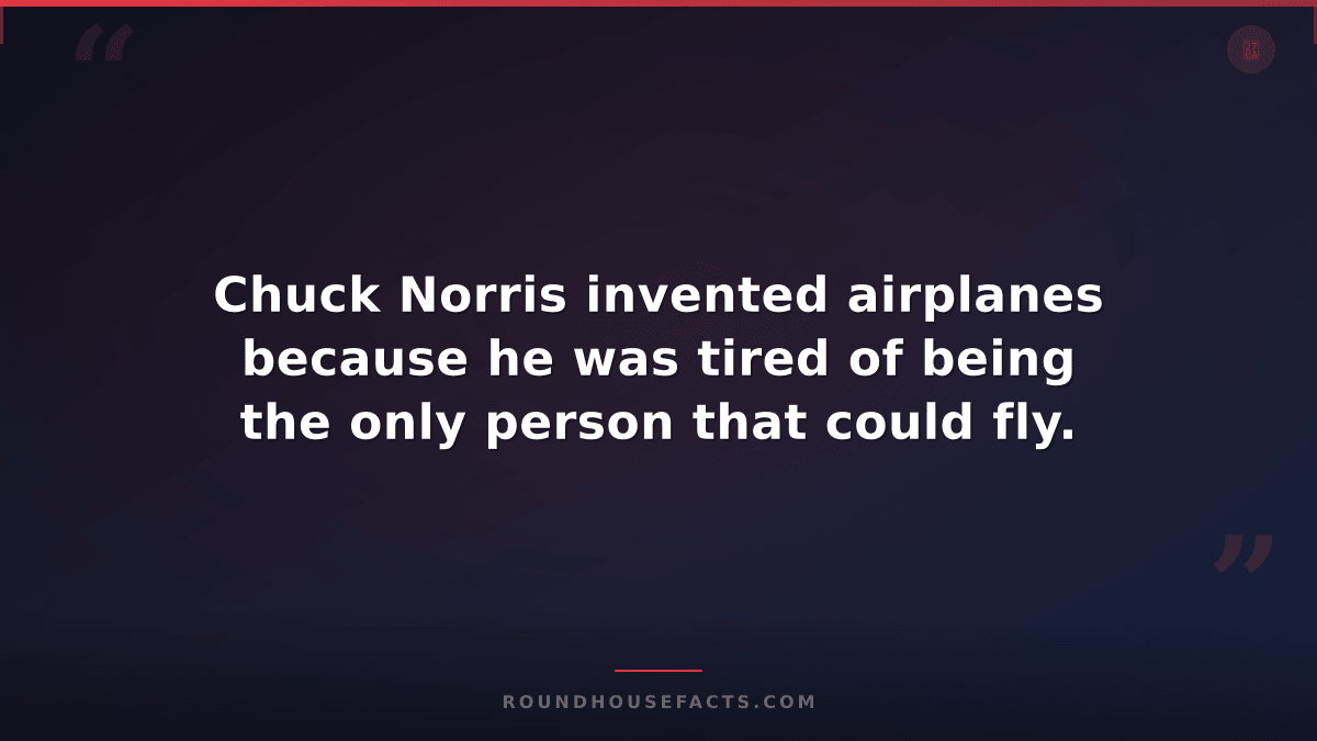 Chuck Norris Fact — Chuck Norris invented airplanes because he was tired of bein