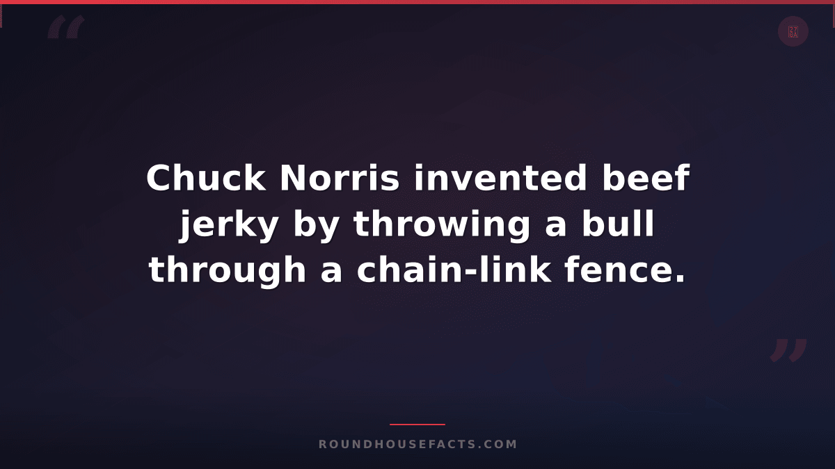 Chuck Norris Fact — Chuck Norris invented beef jerky by throwing a bull through