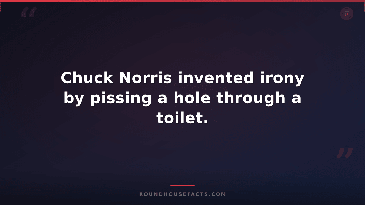 Chuck Norris Fact — Chuck Norris invented irony by pissing a hole through a toil
