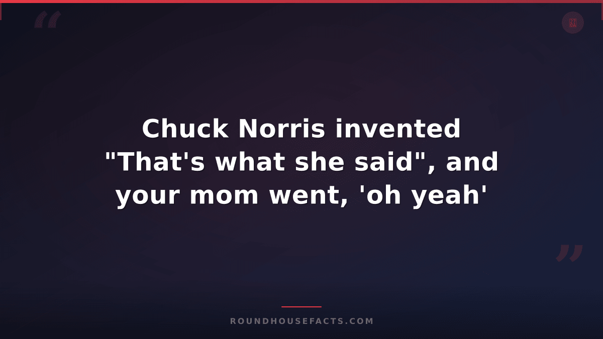 Chuck Norris Fact — Chuck Norris invented "That's what she said", and your mom w